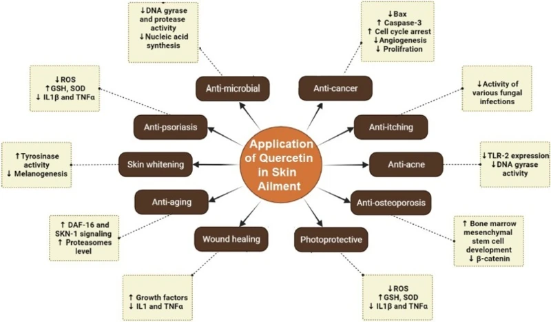 Application of quercetin Application of quercetin