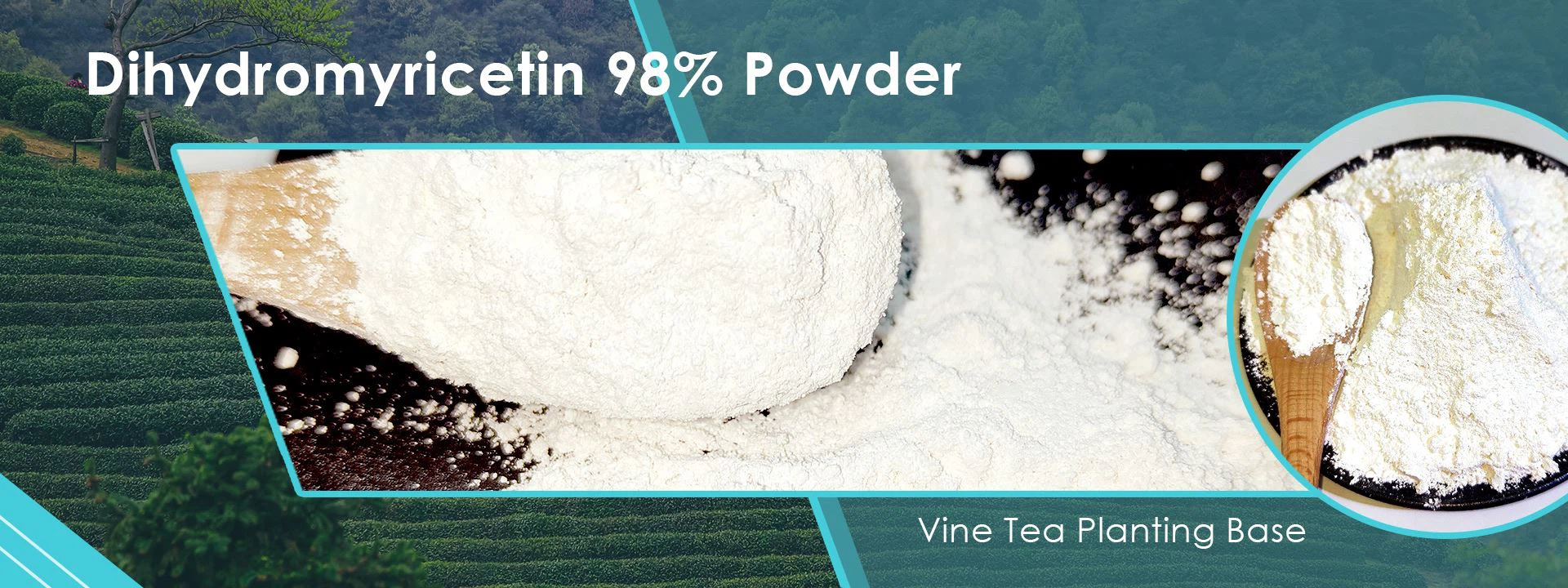 Dihydromyricetin 98%