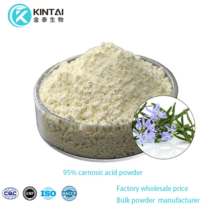 Rosemary Extract Corosolic Acid Powder