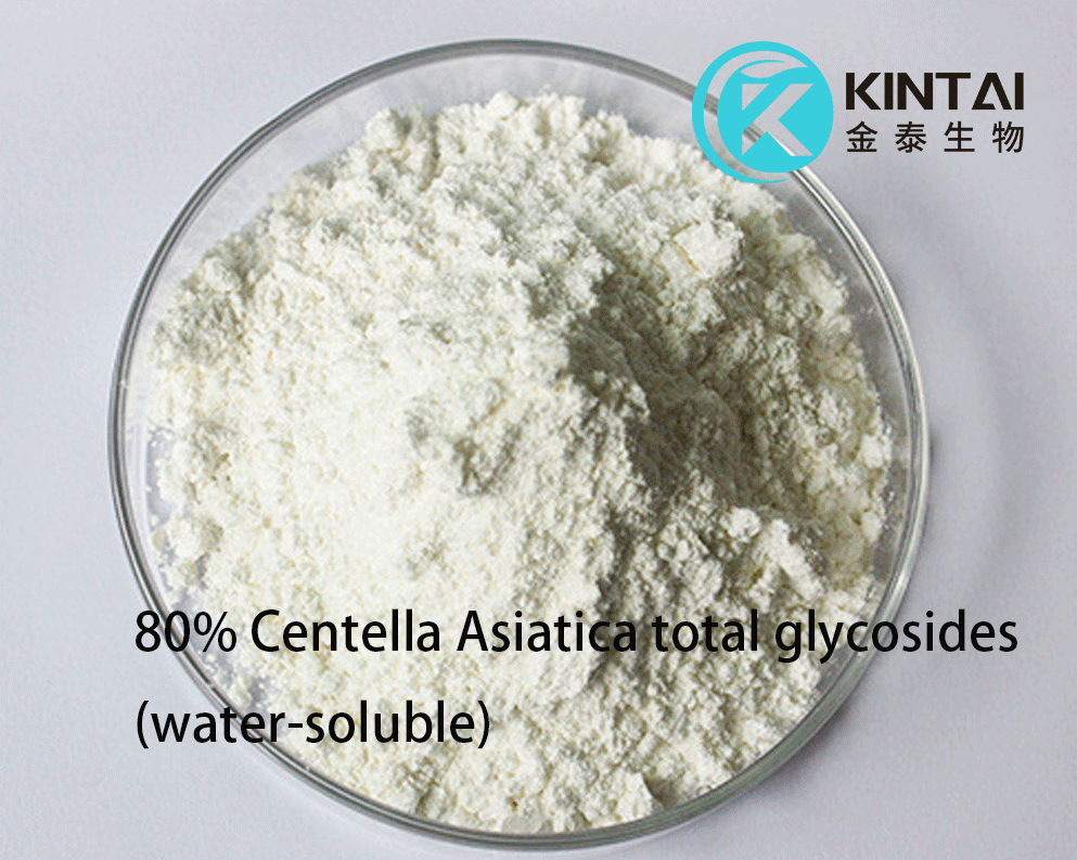 80 Centella Asiatica total glycosides water-soluble