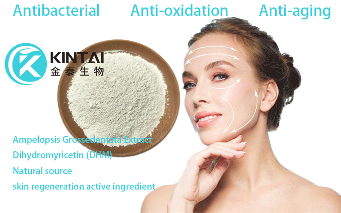 Ampelopsis Grossedentata Extract Dihydromyricetin (DHM) Manufacturer Ampelopsis Grossedentata Extract Dihydromyricetin (DHM) Manufacturer