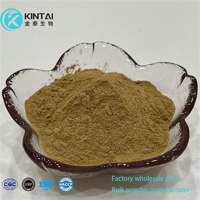 Quillaja Saponaria Extract Powder